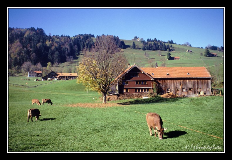 22 Typische Landschaft